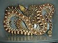 DSC09770