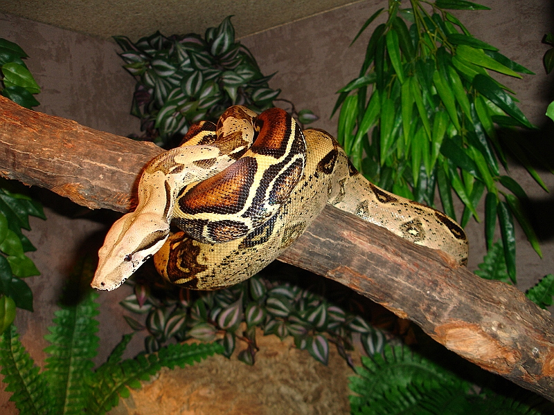 DSC05822.JPG