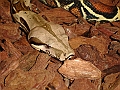 DSC00025