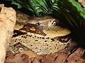 DSC00036