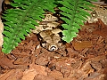 DSC00053