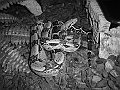 DSC00792