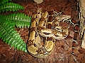 DSC00803