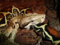 DSC00806