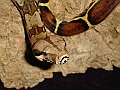 DSC01771
