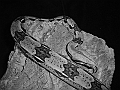 DSC01846
