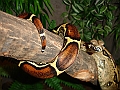 DSC01873