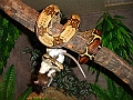 DSC02084