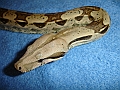 DSC02201