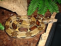 DSC04032