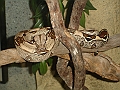 DSC04380