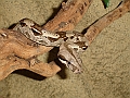 DSC05292