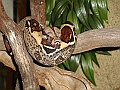 DSC05303