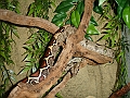 DSC05535