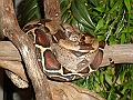 DSC05790