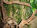 DSC06622