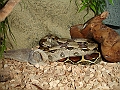 DSC06914