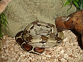 DSC06982