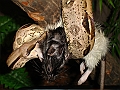 DSC09809