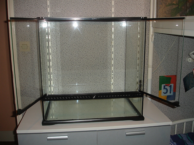 DSC09464.JPG