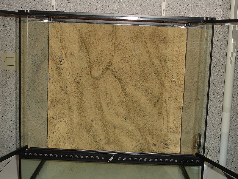 DSC09465.JPG