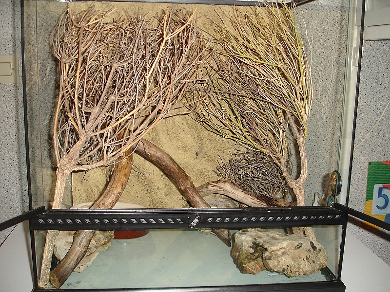 DSC09475.JPG