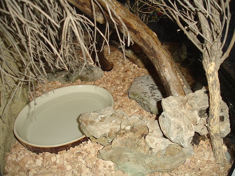 DSC09480.JPG