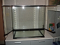DSC09464