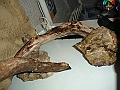 DSC09472