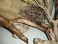 DSC09476