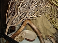 DSC09478