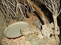 DSC09480