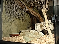 DSC09482