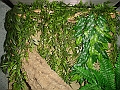 DSC07591