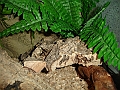 DSC07595