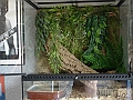 DSC07605