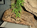 DSC07636
