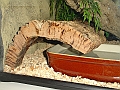 DSC07637
