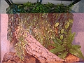 DSC07641