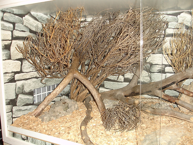DSC06938.JPG
