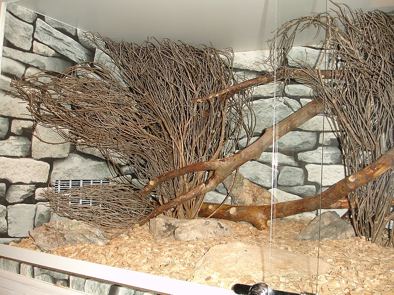 DSC06942.JPG