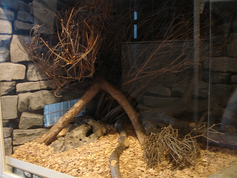 DSC06945.JPG