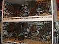 DSC06934