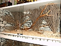 DSC06937