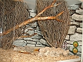 DSC06941