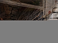 DSC06946